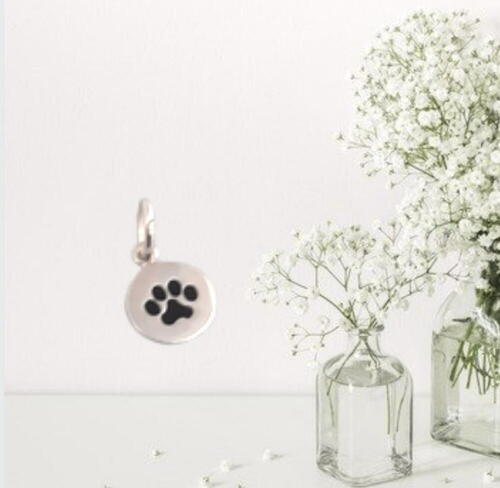 Add small pendant with black paw in silver